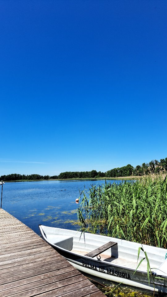 Pierwsza kąpiel tego lata w jeziorze - zaliczona. Poziomki zerwane na łące, obłędnie pyszny sandacz i okoń w smażalni, książka przeczytana na raz, leniwe hamakowanie, letni deszcz i letnia burza.
To też już po raz pierwszy tego lata zaliczone. A teraz powtórka. I jeszcze więcej. Bo takie lato i takie wakacje nigdy się nie nudzą...
#ciszaispokój #wakacjenamazurach #domeknawsi 📸 @projekt.mniej